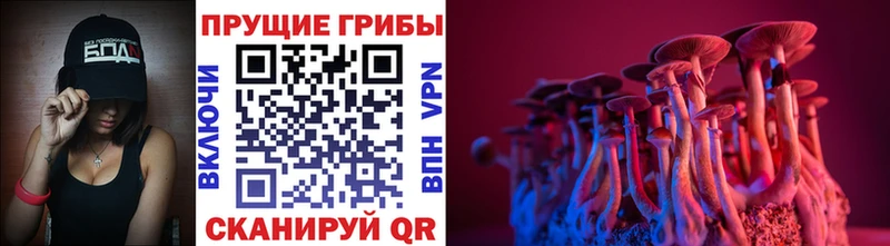 Галлюциногенные грибы мухоморы  Псков 